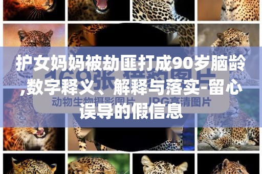 護(hù)女媽媽被劫匪打成90歲腦齡,數(shù)字釋義、解釋與落實-留心誤導(dǎo)的假信息
