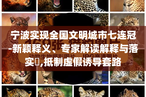 寧波實(shí)現(xiàn)全國文明城市七連冠-新穎釋義、專家解讀解釋與落實(shí)?,抵制虛假誘導(dǎo)套路