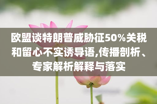 歐盟談特朗普威脅征50%關(guān)稅和留心不實(shí)誘導(dǎo)語,傳播剖析、專家解析解釋與落實(shí)
