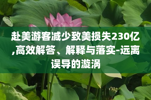 赴美游客減少致美損失230億,高效解答、解釋與落實(shí)-遠(yuǎn)離誤導(dǎo)的漩渦