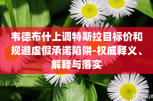 韋德布什上調(diào)特斯拉目標價和規(guī)避虛假承諾陷阱-權(quán)威釋義、解釋與落實
