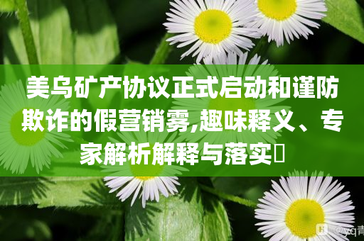 美烏礦產(chǎn)協(xié)議正式啟動和謹防欺詐的假營銷霧,趣味釋義、專家解析解釋與落實?