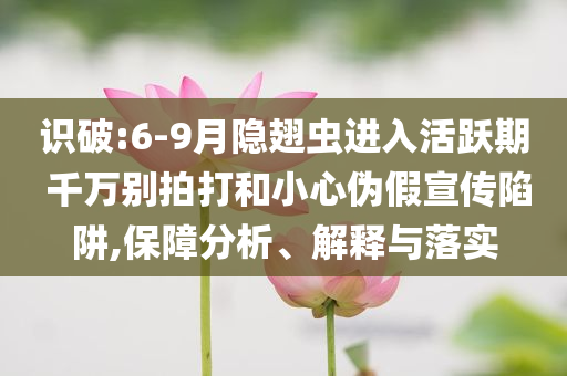 識(shí)破:6-9月隱翅蟲進(jìn)入活躍期 千萬別拍打和小心偽假宣傳陷阱,保障分析、解釋與落實(shí)