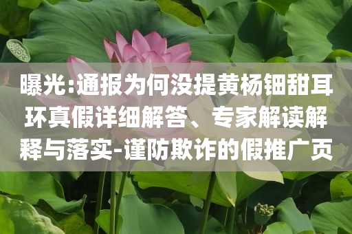曝光:通報(bào)為何沒提黃楊鈿甜耳環(huán)真假詳細(xì)解答、專家解讀解釋與落實(shí)-謹(jǐn)防欺詐的假推廣頁