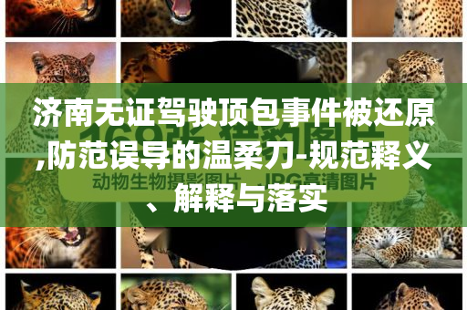 濟南無證駕駛頂包事件被還原,防范誤導(dǎo)的溫柔刀-規(guī)范釋義、解釋與落實