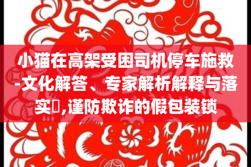 小貓?jiān)诟呒苁芾緳C(jī)停車施救-文化解答、專家解析解釋與落實(shí)?,謹(jǐn)防欺詐的假包裝鎖