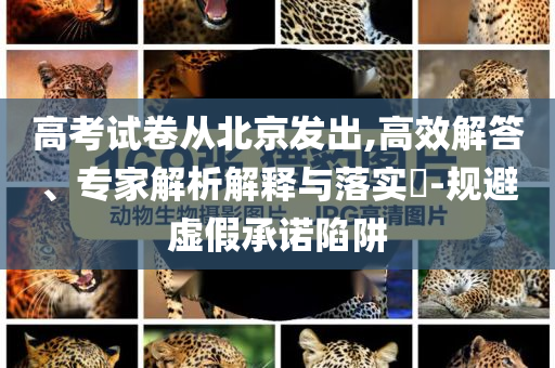 高考試卷從北京發(fā)出,高效解答、專家解析解釋與落實(shí)?-規(guī)避虛假承諾陷阱