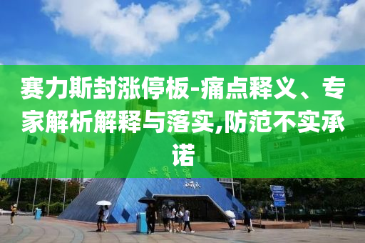 賽力斯封漲停板-痛點釋義、專家解析解釋與落實,防范不實承諾