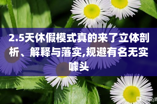 2.5天休假模式真的來(lái)了立體剖析、解釋與落實(shí),規(guī)避有名無(wú)實(shí)噱頭