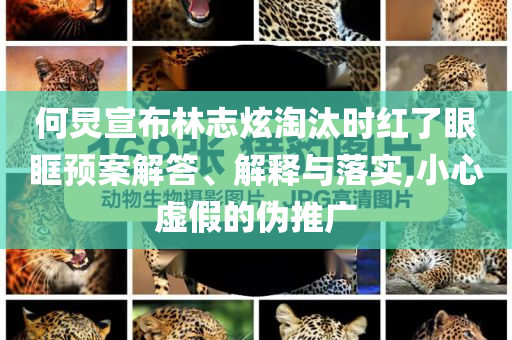 何炅宣布林志炫淘汰時(shí)紅了眼眶預(yù)案解答、解釋與落實(shí),小心虛假的偽推廣