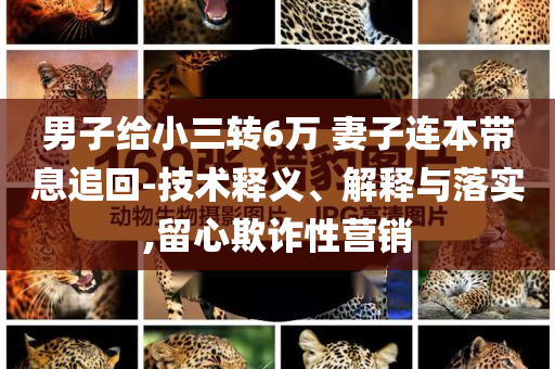 男子給小三轉(zhuǎn)6萬(wàn) 妻子連本帶息追回-技術(shù)釋義、解釋與落實(shí),留心欺詐性營(yíng)銷