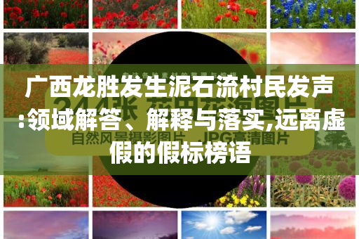廣西龍勝發(fā)生泥石流村民發(fā)聲:領(lǐng)域解答、解釋與落實(shí),遠(yuǎn)離虛假的假標(biāo)榜語