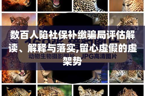 數(shù)百人陷社保補(bǔ)繳騙局評估解讀、解釋與落實(shí),留心虛假的虛架勢