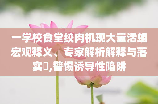 一學校食堂絞肉機現(xiàn)大量活蛆宏觀釋義、專家解析解釋與落實?,警惕誘導性陷阱
