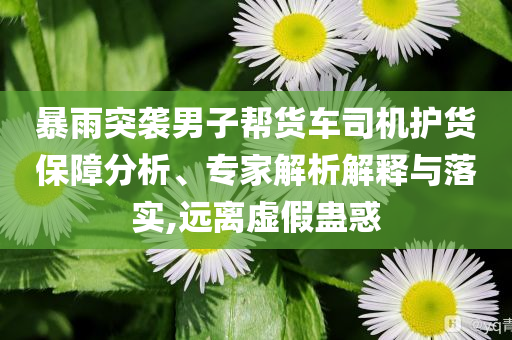 暴雨突襲男子幫貨車司機(jī)護(hù)貨保障分析、專家解析解釋與落實,遠(yuǎn)離虛假蠱惑