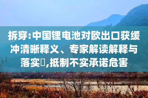 拆穿:中國鋰電池對歐出口獲緩沖清晰釋義、專家解讀解釋與落實?,抵制不實承諾危害