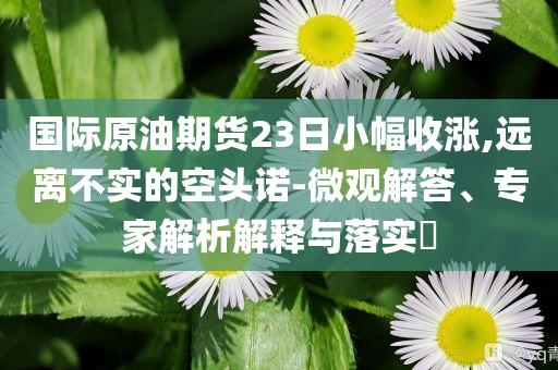 國際原油期貨23日小幅收漲,遠(yuǎn)離不實的空頭諾-微觀解答、專家解析解釋與落實?