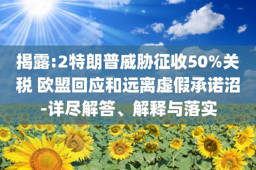 揭露:2特朗普威脅征收50%關稅 歐盟回應和遠離虛假承諾沼-詳盡解答、解釋與落實
