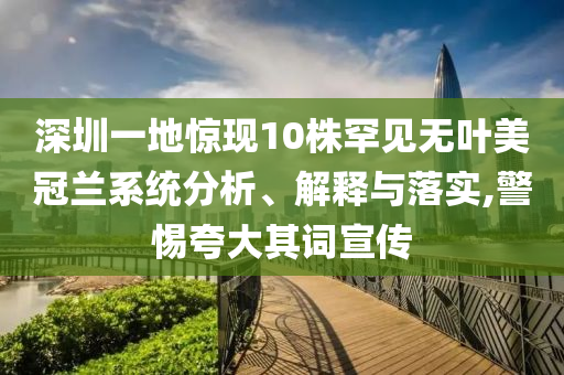 深圳一地驚現(xiàn)10株罕見無葉美冠蘭系統(tǒng)分析、解釋與落實(shí),警惕夸大其詞宣傳