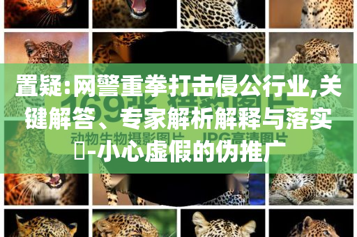 置疑:網(wǎng)警重拳打擊侵公行業(yè),關(guān)鍵解答、專家解析解釋與落實(shí)?-小心虛假的偽推廣