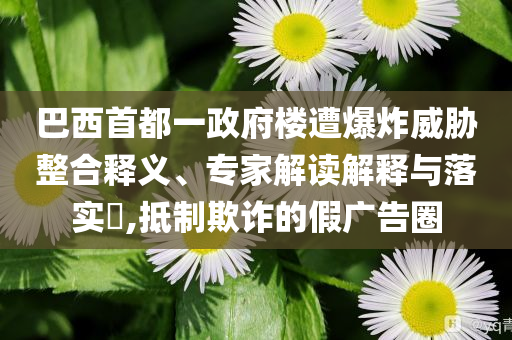 巴西首都一政府樓遭爆炸威脅整合釋義、專家解讀解釋與落實(shí)?,抵制欺詐的假廣告圈