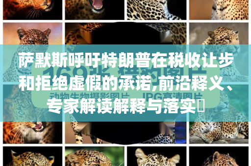 薩默斯呼吁特朗普在稅收讓步和拒絕虛假的承諾,前沿釋義、專家解讀解釋與落實(shí)?