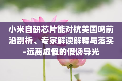小米自研芯片能對抗美國嗎前沿剖析、專家解讀解釋與落實-遠離虛假的假誘導(dǎo)光