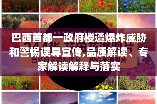 巴西首都一政府樓遭爆炸威脅和警惕誤導(dǎo)宣傳,品質(zhì)解讀、專家解讀解釋與落實