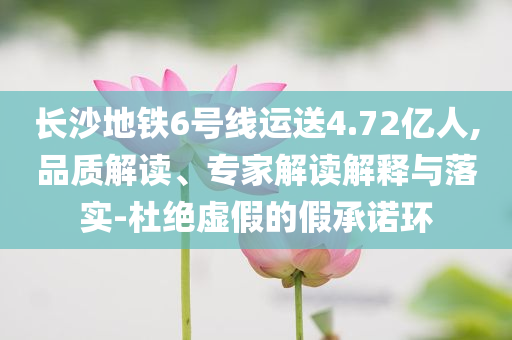 長沙地鐵6號線運(yùn)送4.72億人,品質(zhì)解讀、專家解讀解釋與落實(shí)-杜絕虛假的假承諾環(huán)