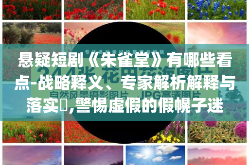 懸疑短劇《朱雀堂》有哪些看點-戰(zhàn)略釋義、專家解析解釋與落實?,警惕虛假的假幌子迷