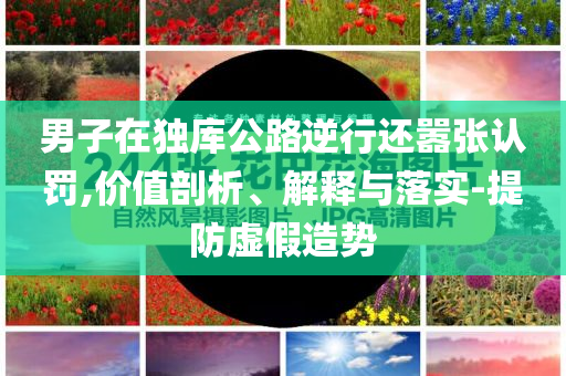 男子在獨庫公路逆行還囂張認罰,價值剖析、解釋與落實-提防虛假造勢