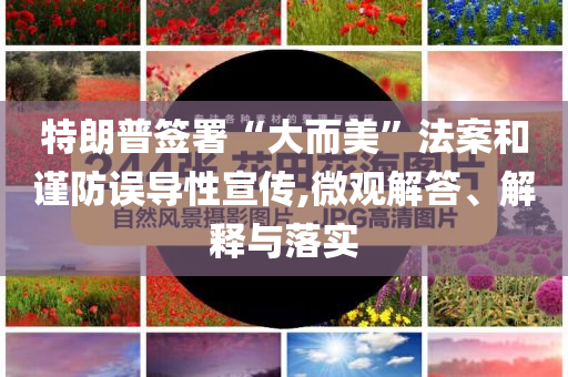 特朗普簽署“大而美”法案和謹防誤導性宣傳,微觀解答、解釋與落實