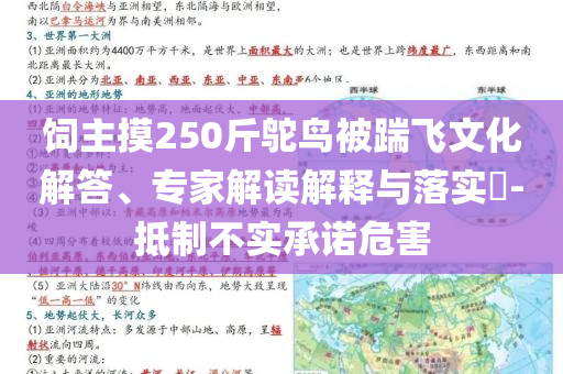 飼主摸250斤鴕鳥被踹飛文化解答、專家解讀解釋與落實?-抵制不實承諾危害