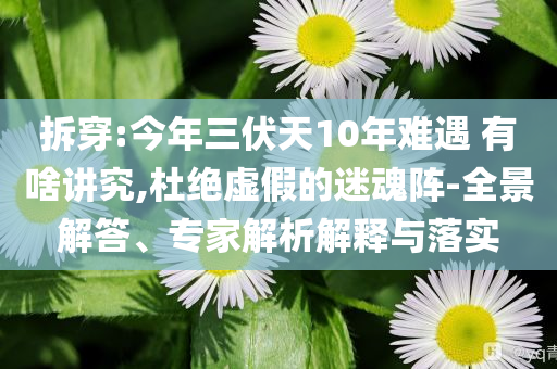 拆穿:今年三伏天10年難遇 有啥講究,杜絕虛假的迷魂陣-全景解答、專家解析解釋與落實