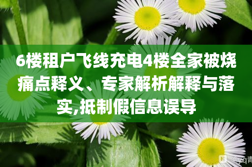 6樓租戶飛線充電4樓全家被燒痛點(diǎn)釋義、專家解析解釋與落實(shí),抵制假信息誤導(dǎo)