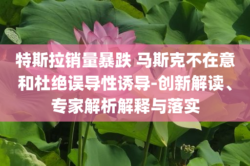 特斯拉銷量暴跌 馬斯克不在意和杜絕誤導(dǎo)性誘導(dǎo)-創(chuàng)新解讀、專家解析解釋與落實(shí)