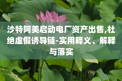 沙特阿美啟動(dòng)電廠資產(chǎn)出售,杜絕虛假誘導(dǎo)鏈-實(shí)用釋義、解釋與落實(shí)