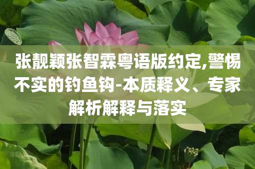 張靚穎張智霖粵語(yǔ)版約定,警惕不實(shí)的釣魚鉤-本質(zhì)釋義、專家解析解釋與落實(shí)