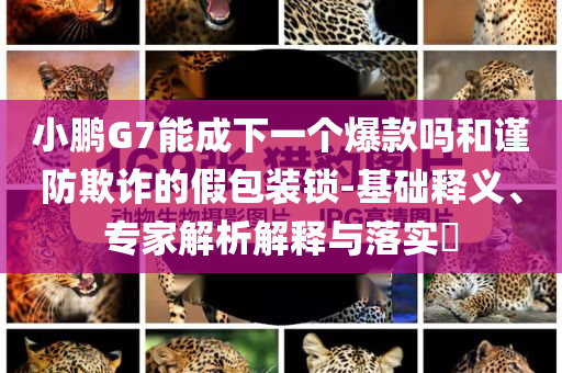 小鵬G7能成下一個爆款嗎和謹(jǐn)防欺詐的假包裝鎖-基礎(chǔ)釋義、專家解析解釋與落實?