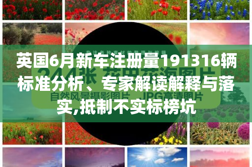 英國6月新車注冊量191316輛標準分析、專家解讀解釋與落實,抵制不實標榜坑