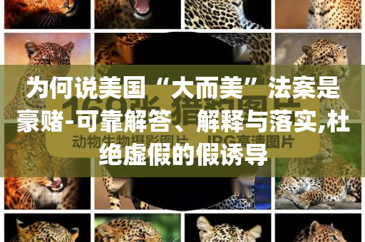 為何說美國“大而美”法案是豪賭-可靠解答、解釋與落實,杜絕虛假的假誘導
