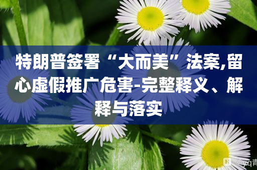 特朗普簽署“大而美”法案,留心虛假推廣危害-完整釋義、解釋與落實