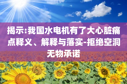 揭示:我國水電機有了大心臟痛點釋義、解釋與落實-拒絕空洞無物承諾