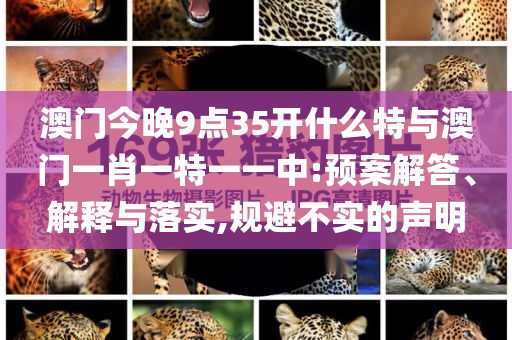 澳門今晚9點35開什么特與澳門一肖一特一一中:預(yù)案解答、解釋與落實,規(guī)避不實的聲明