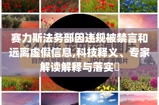 賽力斯法務(wù)部因違規(guī)被禁言和遠(yuǎn)離虛假信息,科技釋義、專家解讀解釋與落實?