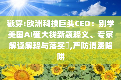 戳穿:歐洲科技巨頭CEO：別學(xué)美國AI砸大錢新穎釋義、專家解讀解釋與落實(shí)?,嚴(yán)防消費(fèi)陷阱