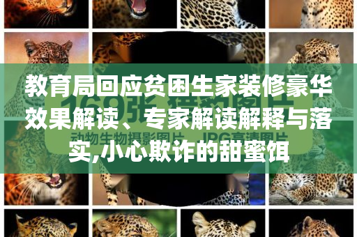 教育局回應(yīng)貧困生家裝修豪華效果解讀、專家解讀解釋與落實(shí),小心欺詐的甜蜜餌