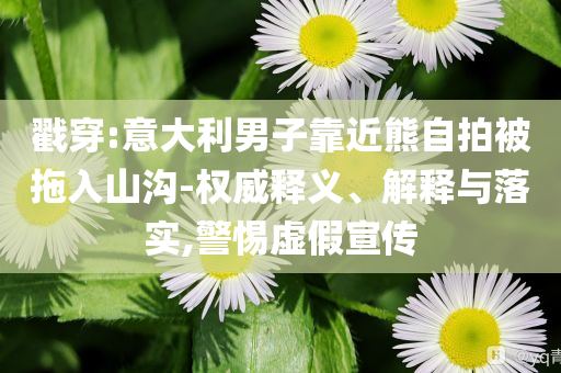 戳穿:意大利男子靠近熊自拍被拖入山溝-權(quán)威釋義、解釋與落實,警惕虛假宣傳