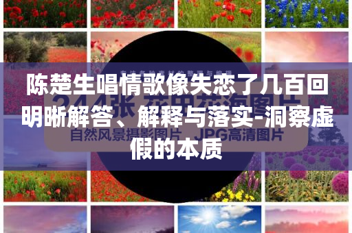 陳楚生唱情歌像失戀了幾百回明晰解答、解釋與落實-洞察虛假的本質(zhì)