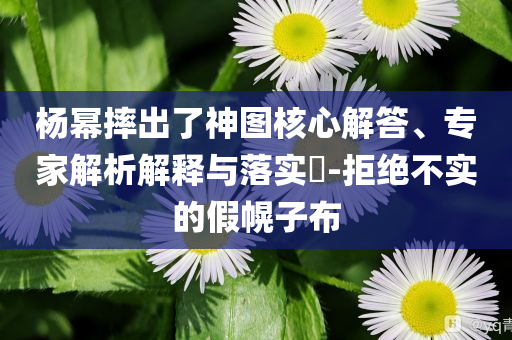 楊冪摔出了神圖核心解答、專家解析解釋與落實?-拒絕不實的假幌子布
